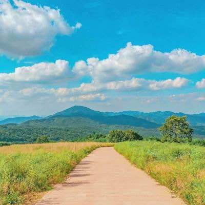 bet体育365官网正规app下载