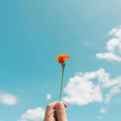 爱游戏综合APP下载