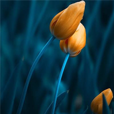 极速飞艇平台 63o 6967